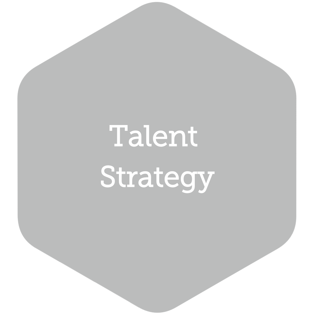 Talent Strategy